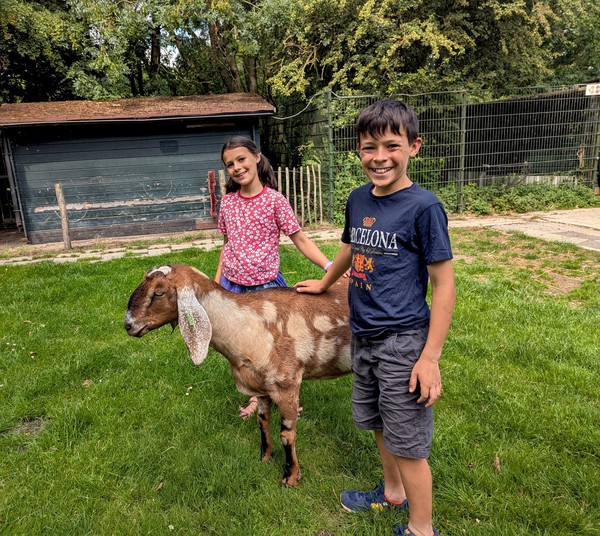 Amsterdam has many of these children's farms, and they are green and pleasant places.