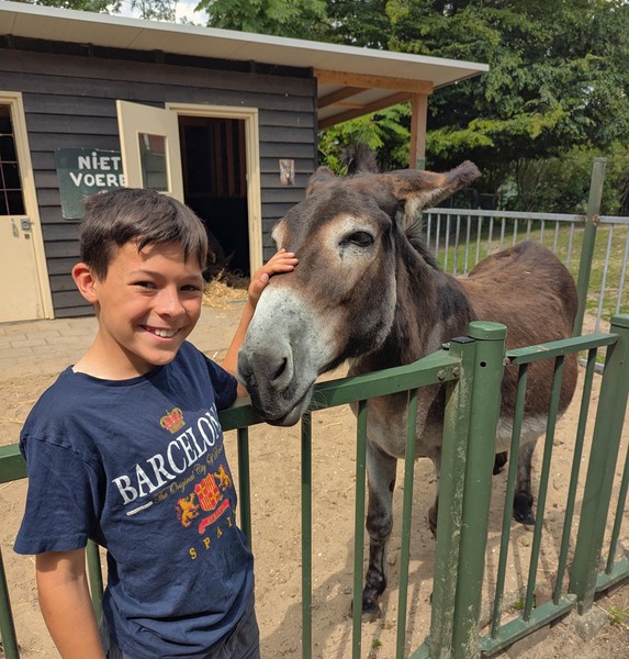 Amsterdam has many of these children's farms, and they are green and pleasant places.