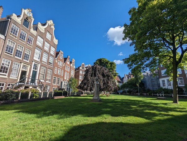 A peaceful oasis in the middle of the city