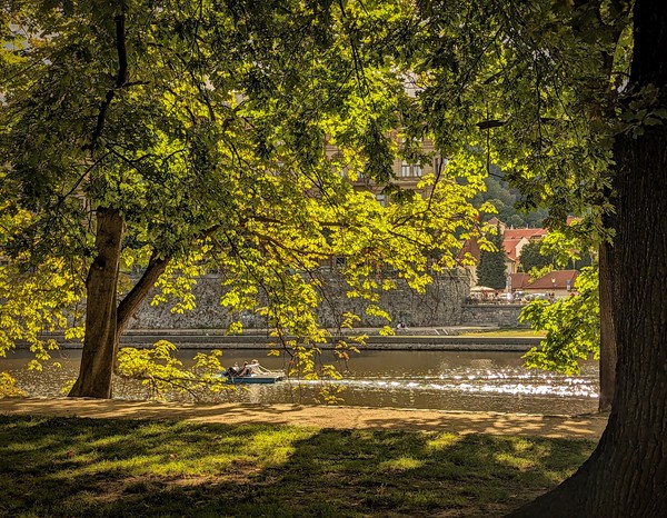 A beautiful, leafy, shady haven in the middle of the Vltava river.  We had ice creams, skimmed stones and Rosa met the Nutria.