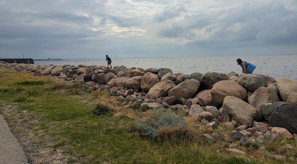 Sadly we never got a picture with us in the water and the Oresund bridge in the background!
