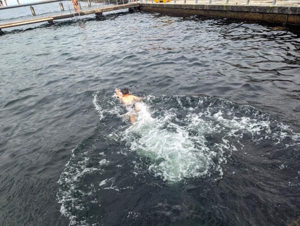 Sadly we never got a picture with us in the water and the Oresund bridge in the background!