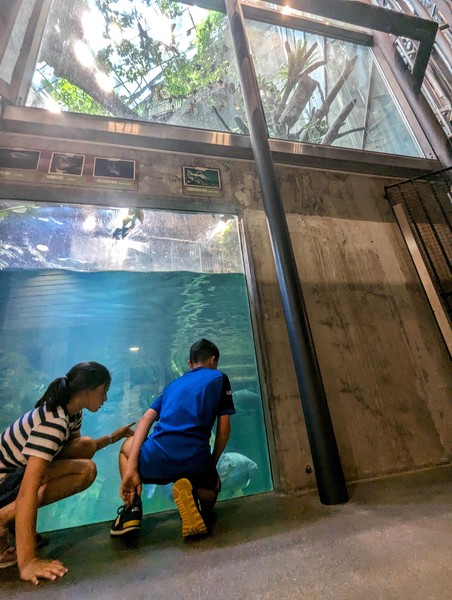 It's an aquarium at the bottom ....