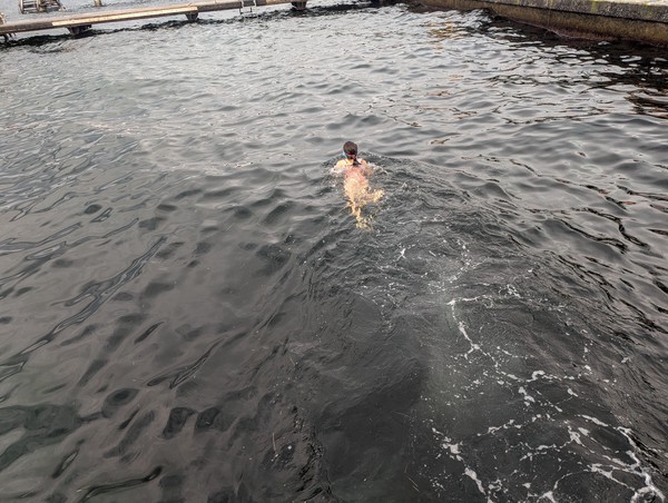 Sadly we never got a picture with us in the water and the Oresund bridge in the background!