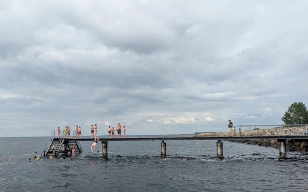 Sadly we never got a picture with us in the water and the Oresund bridge in the background!