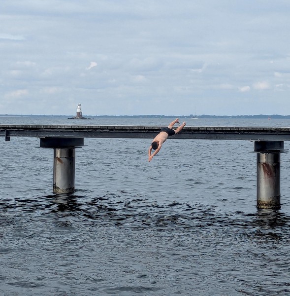 Sadly we never got a picture with us in the water and the Oresund bridge in the background!