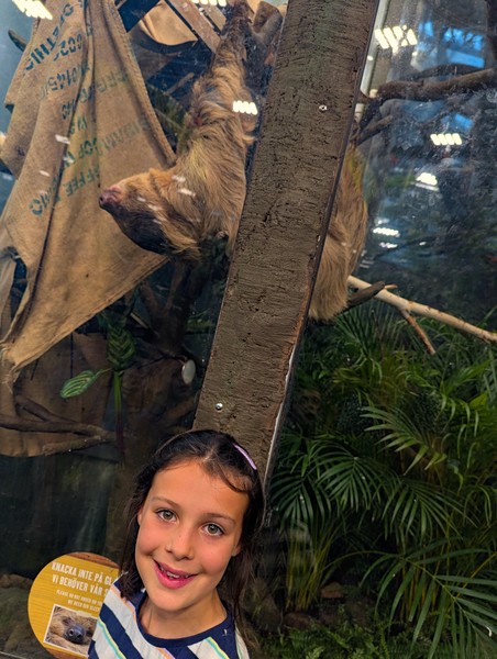 Couldn't stop taking pictures of this adorable sloth!
